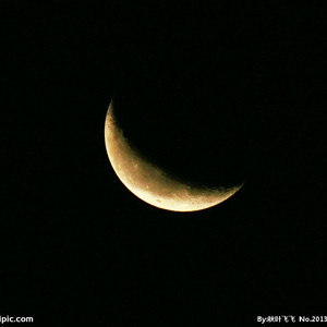 同性男男黄G片免费网站18禁无码
